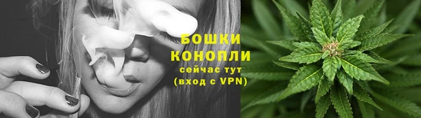 PSILOCYBIN Нея