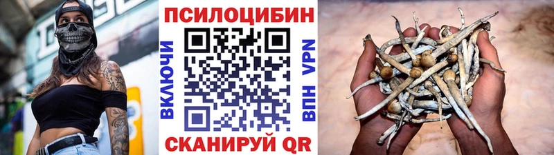 цена наркотик  Бутурлиновка  omg рабочий сайт  Псилоцибиновые грибы Magic Shrooms 